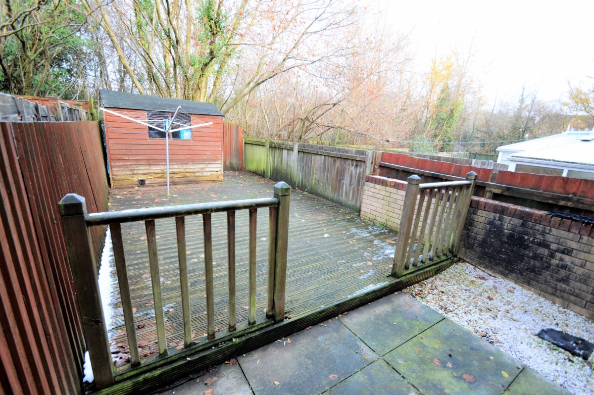 garden 1.jpg